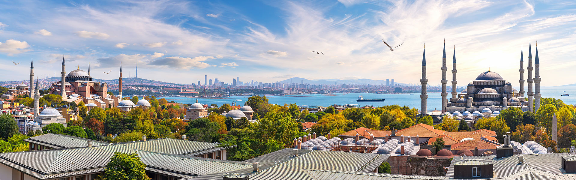 Istanbul skyline and the Bosphorus